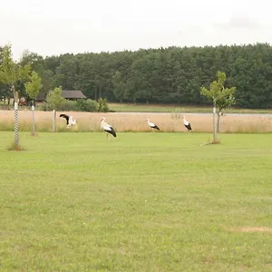 Haeusla , Dannberg Duitsland